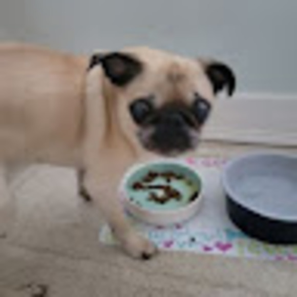 Meet your Posher, R - Picture 1 of 1